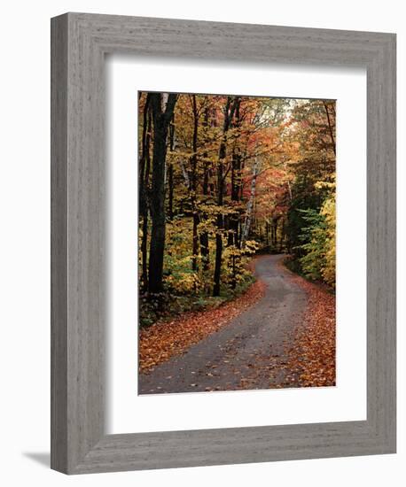 Country Road, Vermont, USA-Charles Sleicher-Framed Photographic Print