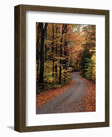 Country Road, Vermont, USA-Charles Sleicher-Framed Photographic Print