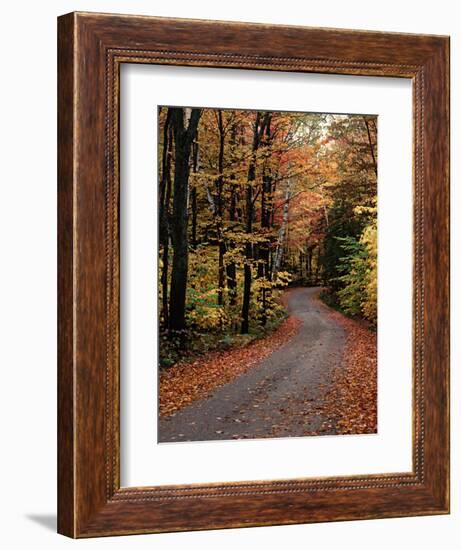 Country Road, Vermont, USA-Charles Sleicher-Framed Photographic Print