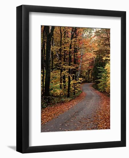 Country Road, Vermont, USA-Charles Sleicher-Framed Photographic Print