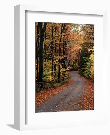 Country Road, Vermont, USA-Charles Sleicher-Framed Photographic Print