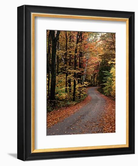 Country Road, Vermont, USA-Charles Sleicher-Framed Photographic Print