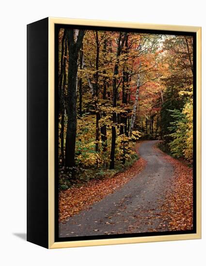 Country Road, Vermont, USA-Charles Sleicher-Framed Premier Image Canvas