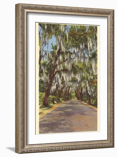 Country Road with Spanish Moss, South Carolina-null-Framed Art Print