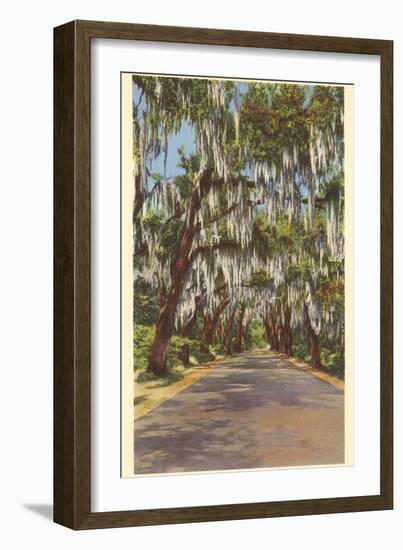 Country Road with Spanish Moss, South Carolina-null-Framed Art Print