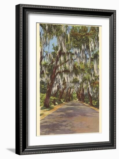 Country Road with Spanish Moss, South Carolina-null-Framed Art Print