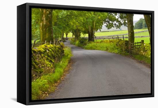 Country Road, Yorkshire Dales National Park, Yorkshire, England, United Kingdom, Europe-Miles Ertman-Framed Premier Image Canvas