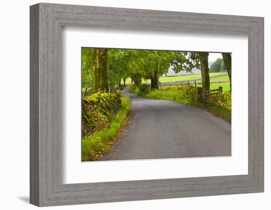 Country Road, Yorkshire Dales National Park, Yorkshire, England, United Kingdom, Europe-Miles Ertman-Framed Photographic Print