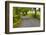 Country Road, Yorkshire Dales National Park, Yorkshire, England, United Kingdom, Europe-Miles Ertman-Framed Photographic Print