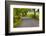 Country Road, Yorkshire Dales National Park, Yorkshire, England, United Kingdom, Europe-Miles Ertman-Framed Photographic Print