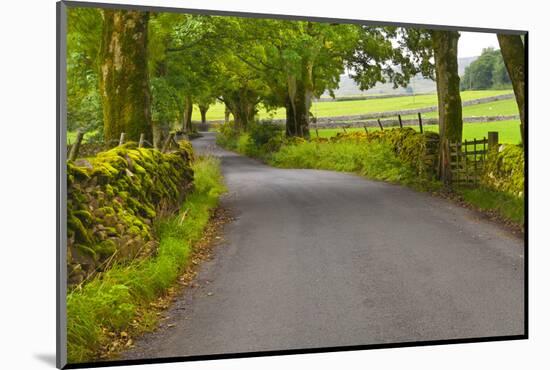 Country Road, Yorkshire Dales National Park, Yorkshire, England, United Kingdom, Europe-Miles Ertman-Mounted Photographic Print