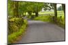Country Road, Yorkshire Dales National Park, Yorkshire, England, United Kingdom, Europe-Miles Ertman-Mounted Photographic Print