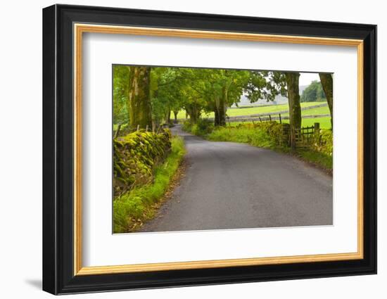 Country Road, Yorkshire Dales National Park, Yorkshire, England, United Kingdom, Europe-Miles Ertman-Framed Photographic Print