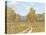 Country Road-Longo-Framed Stretched Canvas