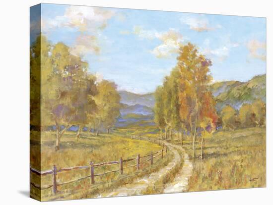 Country Road-Longo-Framed Stretched Canvas