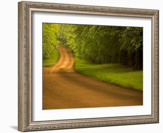 Country Road-Doug Chinnery-Framed Photographic Print