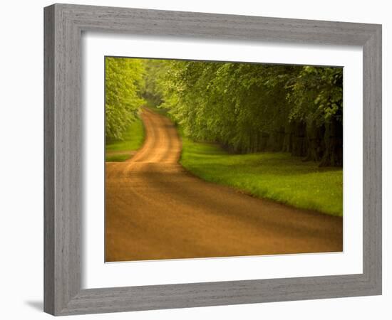 Country Road-Doug Chinnery-Framed Photographic Print