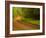 Country Road-Doug Chinnery-Framed Photographic Print