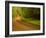 Country Road-Doug Chinnery-Framed Photographic Print