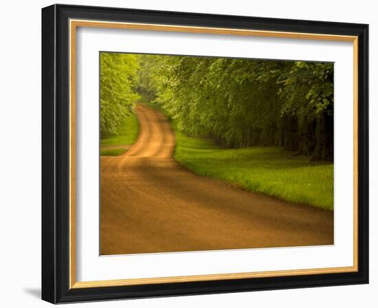 Country Road-Doug Chinnery-Framed Photographic Print