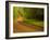 Country Road-Doug Chinnery-Framed Photographic Print