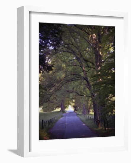 Country Road-J.D. Mcfarlan-Framed Photographic Print