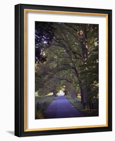 Country Road-J.D. Mcfarlan-Framed Photographic Print