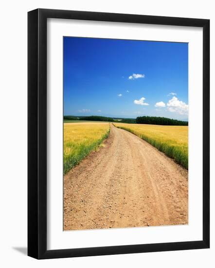 Country Road-null-Framed Photographic Print