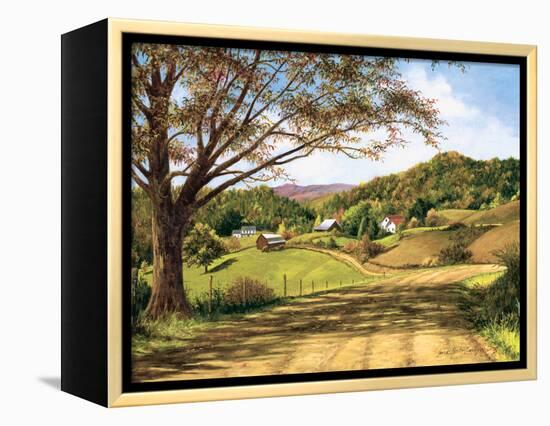 Country Roads-Lene Alston Casey-Framed Stretched Canvas