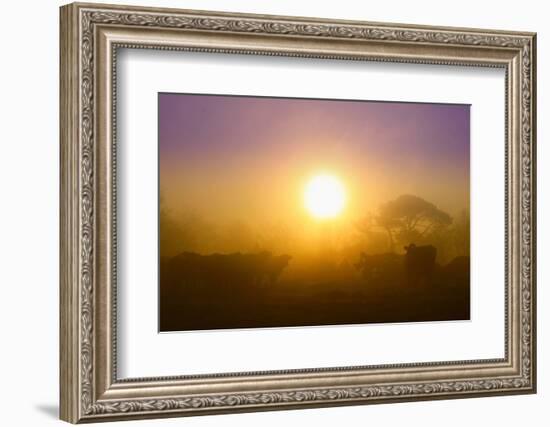 Country Scene-Viviane Fedieu Daniel-Framed Photographic Print