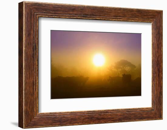 Country Scene-Viviane Fedieu Daniel-Framed Photographic Print