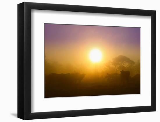 Country Scene-Viviane Fedieu Daniel-Framed Photographic Print