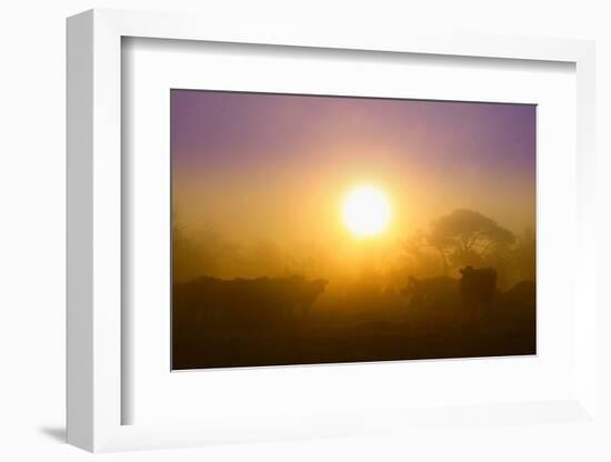 Country Scene-Viviane Fedieu Daniel-Framed Photographic Print