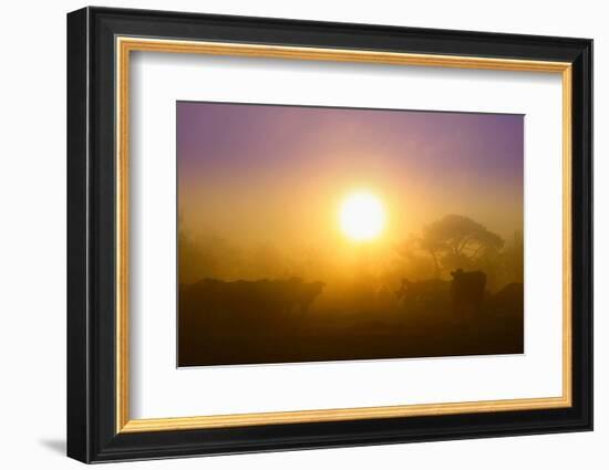 Country Scene-Viviane Fedieu Daniel-Framed Photographic Print