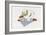 Country Sheep-Debbie McMaster-Framed Giclee Print