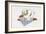 Country Sheep-Debbie McMaster-Framed Giclee Print