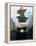Country Singer Garth Brooks-Dave Allocca-Framed Premier Image Canvas