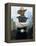 Country Singer Garth Brooks-Dave Allocca-Framed Premier Image Canvas