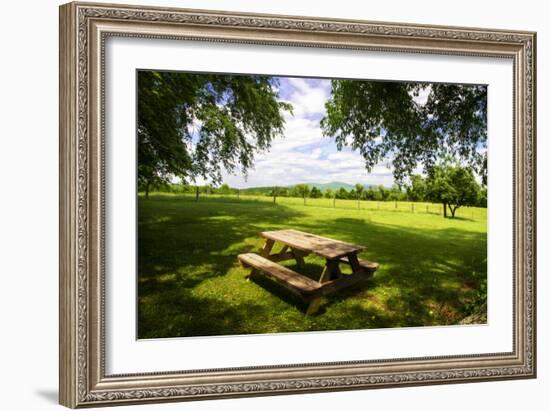 Country Springtime I-Alan Hausenflock-Framed Photographic Print