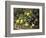 Country Still Life I-Oliver Clare-Framed Premium Giclee Print