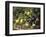 Country Still Life I-Oliver Clare-Framed Premium Giclee Print