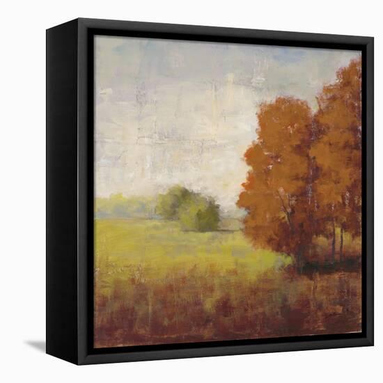 Country Vista-Jill Schultz McGannon-Framed Stretched Canvas