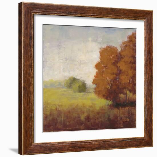 Country Vista-Jill Schultz McGannon-Framed Art Print