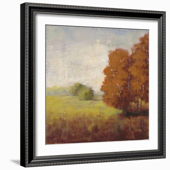 Country Vista-Jill Schultz McGannon-Framed Art Print