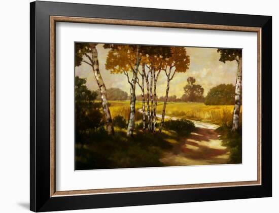 Country Walk II-Graham Reynolds-Framed Art Print