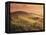 Countryside at Sunset, Volterra, Tuscany, Italy, Europe-Patrick Dieudonne-Framed Premier Image Canvas