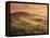 Countryside at Sunset, Volterra, Tuscany, Italy, Europe-Patrick Dieudonne-Framed Premier Image Canvas