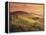 Countryside at Sunset, Volterra, Tuscany, Italy, Europe-Patrick Dieudonne-Framed Premier Image Canvas