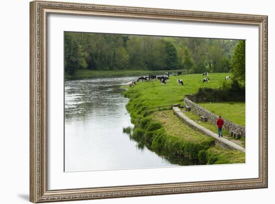 Countryside, County Kilkenny, Leinster, Republic of Ireland (Eire), Europe-Nico Tondini-Framed Photographic Print