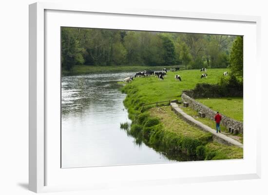 Countryside, County Kilkenny, Leinster, Republic of Ireland (Eire), Europe-Nico Tondini-Framed Photographic Print